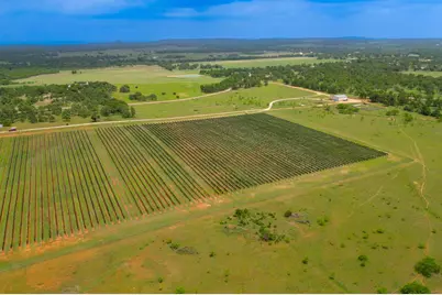 11446 N State Hwy 16, Fredericksburg, TX 78624 - Photo 15