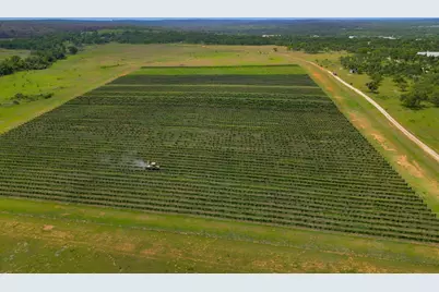 11446 N State Hwy 16, Fredericksburg, TX 78624 - Photo 13