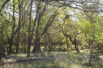 308 Pebble Loop Dr, Navasota, TX 77868 - Photo 17