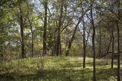 308 Pebble Loop Dr, Navasota, TX 77868 - Photo 11