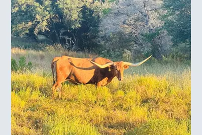 [Address not provided], Blanco, TX 78606 - Photo 5