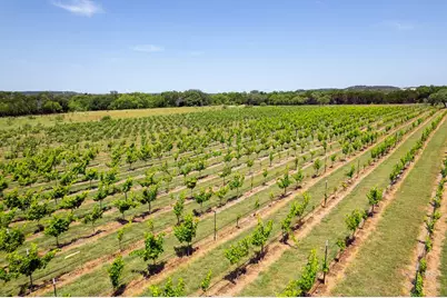 3841 W US Hwy 290, Fredericksburg, TX 78624 - Photo 3