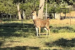 2747 Lower Crabapple Rd, Fredericksburg, TX 78624 - Photo 7