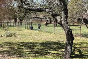 2747 Lower Crabapple Rd, Fredericksburg, TX 78624 - Photo 41