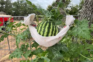 2747 Lower Crabapple Rd, Fredericksburg, TX 78624 - Photo 49