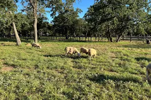 2747 Lower Crabapple Rd, Fredericksburg, TX 78624 - Photo 35