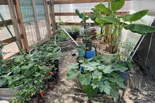 2747 Lower Crabapple Rd, Fredericksburg, TX 78624 - Photo 47