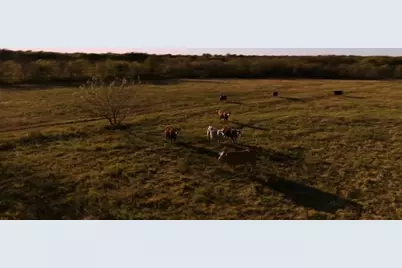 1179 E Fm 813, Palmer, TX 75152 - Photo 7