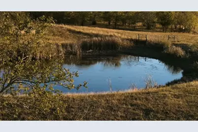 1179 E Fm 813, Palmer, TX 75152 - Photo 7