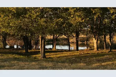 1179 E Fm 813, Palmer, TX 75152 - Photo 5