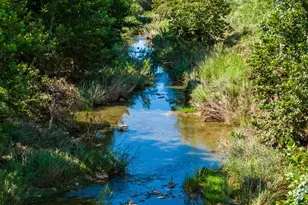3936 S State Hwy 16, Fredericksburg, TX 78624 - Photo 5