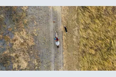 5595 Schneider-Moellering Rd, Fredericksburg, TX 78624 - Photo 25