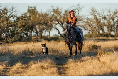 5595 Schneider-Moellering Rd, Fredericksburg, TX 78624 - Photo 23