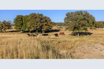 5595 Schneider-Moellering Rd, Fredericksburg, TX 78624 - Photo 35
