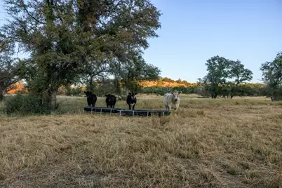 5595 Schneider-Moellering Rd, Fredericksburg, TX 78624 - Photo 27
