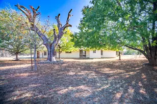 230 Red Bird Loop, Center Point, TX 78010 - Photo 23