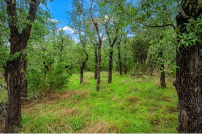 7625 N State Hwy 16, Fredericksburg, TX 78624 - Photo 13