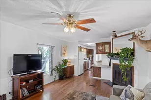 1411 C Democrat St, Blanco, TX 78606 - Photo 5