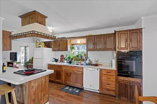 1411 C Democrat St, Blanco, TX 78606 - Photo 11