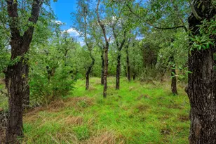 7625 N State Hwy 16, Fredericksburg, TX 78624 - Photo 15