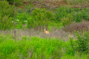 7625 N State Hwy 16, Fredericksburg, TX 78624 - Photo 27