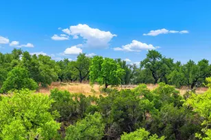 7625 N State Hwy 16, Fredericksburg, TX 78624 - Photo 13