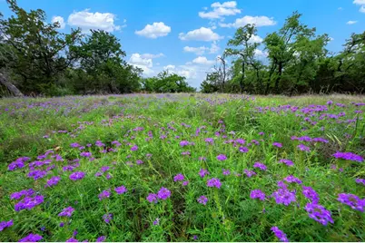 7625 N State Hwy 16, Fredericksburg, TX 78624 - Photo 19