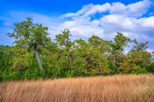 7625 N State Hwy 16, Fredericksburg, TX 78624 - Photo 7