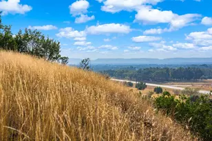 7625 N State Hwy 16, Fredericksburg, TX 78624 - Photo 15