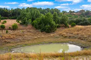 7625 N State Hwy 16, Fredericksburg, TX 78624 - Photo 19
