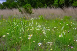 7625 N State Hwy 16, Fredericksburg, TX 78624 - Photo 27