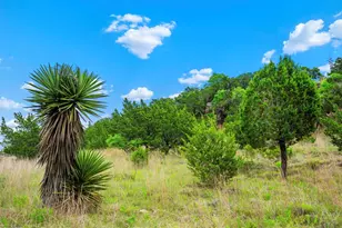 7625 N State Hwy 16, Fredericksburg, TX 78624 - Photo 17