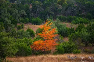 7625 N State Hwy 16, Fredericksburg, TX 78624 - Photo 17