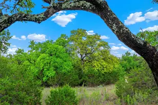 7625 N State Hwy 16, Fredericksburg, TX 78624 - Photo 17