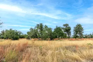 406 Cherry Mountain Loop, Fredericksburg, TX 78624 - Photo 33