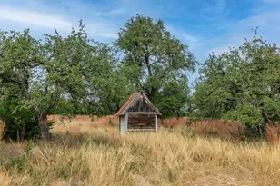 406 Cherry Mountain Loop, Fredericksburg, TX 78624 - Photo 31