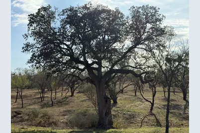 102 County Rd 314, Llano, TX 78643 - Photo 5