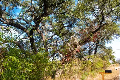 000 W Live Oak Rd, Fredericksburg, TX 78624 - Photo 19