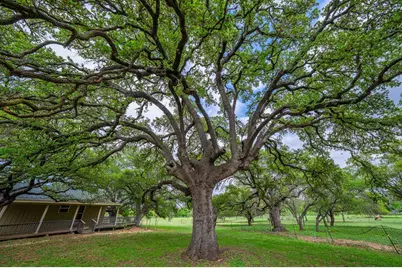 1114 Meadowlark Dr, Fredericksburg, TX 78624 - Photo 5