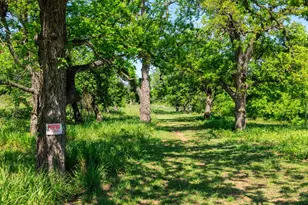308 Oakhaven Ln, Fredericksburg, TX 78624 - Photo 43