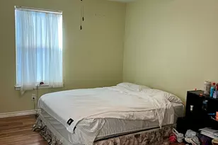 306 W Park St, Fredericksburg, TX 78624 - Photo 9