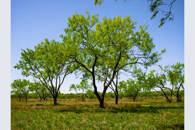 Tract 1 Wine Trail Dr, Johnson City, TX 78636 - Photo 17