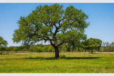 Tract 1 Wine Trail Dr, Johnson City, TX 78636 - Photo 7