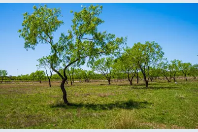 Tract 1 Wine Trail Dr, Johnson City, TX 78636 - Photo 15