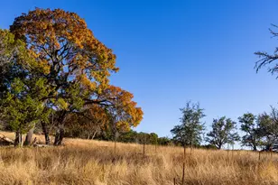 230 Cade Loop, Ingram, TX 78025 - Photo 47