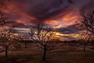 250 Morris-Tivydale Rd, Fredericksburg, TX 78624 - Photo 43