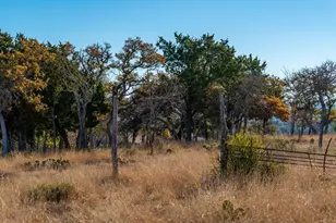 196 Hermit Hill Rd, Fredericksburg, TX 78624 - Photo 53