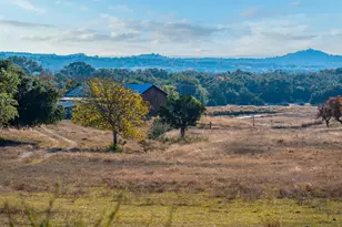 196 Hermit Hill Rd, Fredericksburg, TX 78624 - Photo 51
