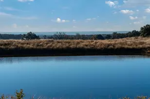 196 Hermit Hill Rd, Fredericksburg, TX 78624 - Photo 5