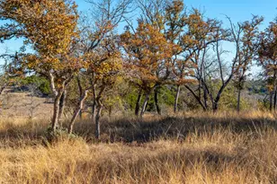 196 Hermit Hill Rd, Fredericksburg, TX 78624 - Photo 55